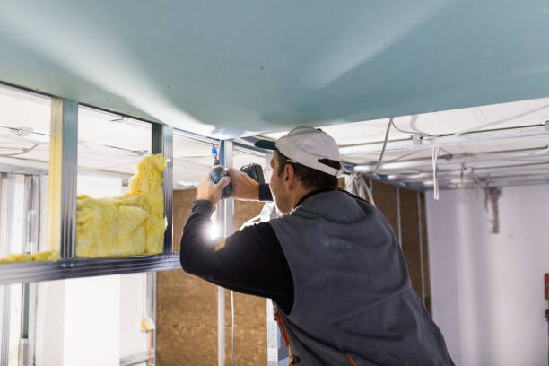 Best Eco-Friendly Insulation in Herald, CA